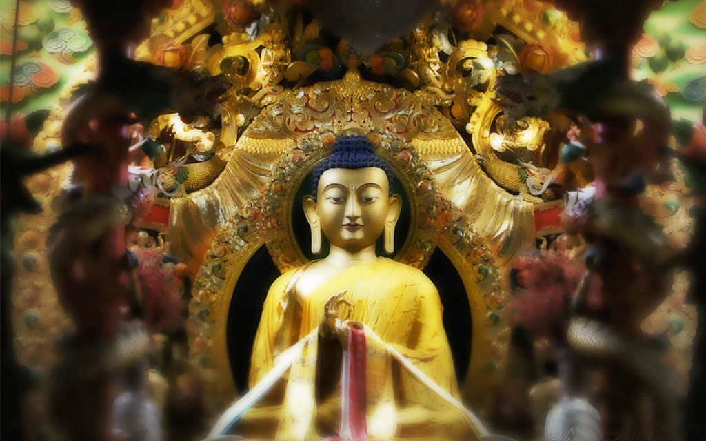 The buddha in sarnath boxshot